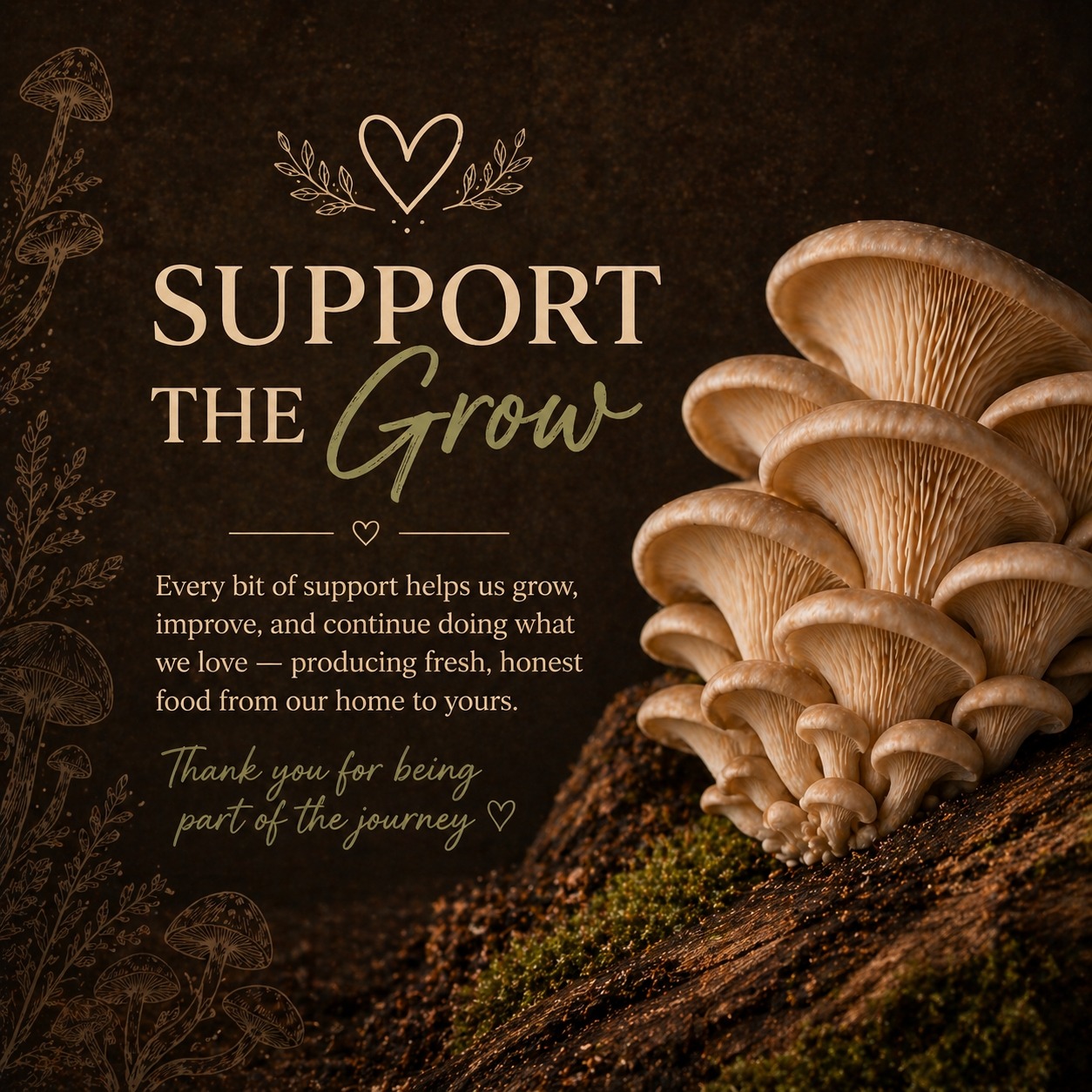 Support Seven Heaven Mushrooms
